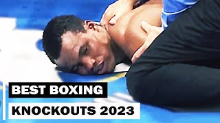 Best Boxing Knockouts of 2023 [upl. by Nillek]