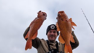 Limitless lures and Stoopid baits catch the fish limits Boat fishing Central Coast California Phenix [upl. by Oiralednac]