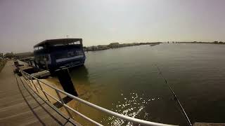 Pier Fluke Fishing in Captree NY [upl. by Merrielle713]