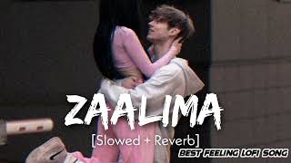 ZAALIMA Slowed😌Reverb arijit Singh lofi song enjoy song🎧😌 [upl. by Eylatan]