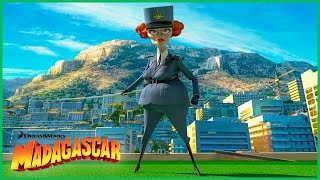 A Raiva da Capitã Chantel Dubois  DreamWorks Madagascar em Português [upl. by Jesher744]