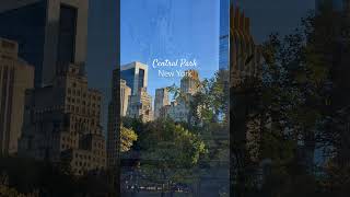 Central Park NY ny nyc newyork newyorkcity adventure explore travel travelblogger city [upl. by Thoma]