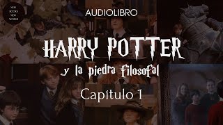 HARRY POTTER y la piedra filosofal CAPITULO 1 – AUDIOLIBRO Español [upl. by Eivlys504]