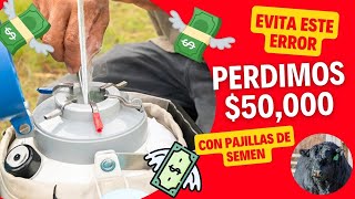 CÓMO PERDIMOS 50000 EN SEMEN DE GANADO 😱💸 [upl. by Ecnedac71]