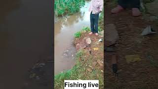 How to fish in River [upl. by Eelyac]