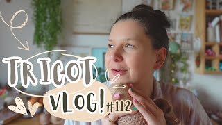 Alterner les écheveaux  Vlog Tricot 112 [upl. by Halsy949]