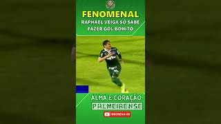 ARTILHEIRO DOS GOLS BONITOS DO PALMEIRAS [upl. by Leinto61]