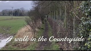 A walk in the countryside  public walkways [upl. by Wearing]