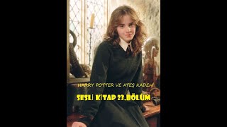 Harry Potter ve Ateş Kadehi  Bölüm 23  En İyi Sesli Kitap [upl. by Gnouc]