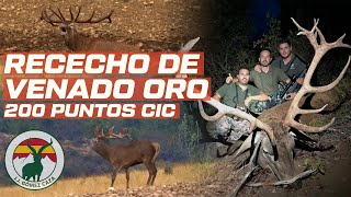 Rececho de venado oro 200 puntos CIC [upl. by Chemarin548]