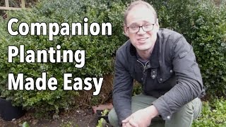 Companion Planting Made Easy [upl. by Lakin64]