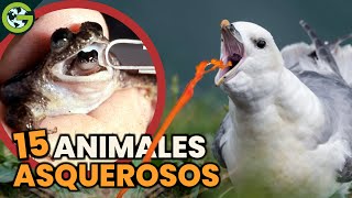 Las 15 Cosas Más ASQUEROSAS Que Hacen los ANIMALES 🐸 [upl. by Romelle175]