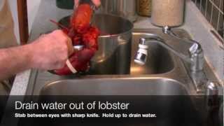 Preparing boiled Lobster dinner [upl. by Nerwal198]