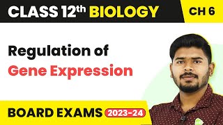 Regulation of Gene Expression  Molecular Basis of Inheritance  Class 12 Biology 202223 [upl. by Akierdna859]