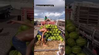 Wow  Amazing Watermelon Skills😳l sofiaelizalde46 trendingshorts viralvideo shorts subscribe [upl. by Roti]