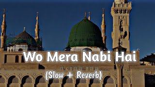 Wo Mera Nabi Hai Naat  Syed Hassanullah  Slow and Reverb Naat  Mind Relaxing Naat [upl. by Revorg320]