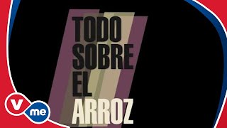 Todo Sobre el Arroz Promo  VME TV [upl. by Toh]