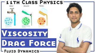 Viscosity Drag Force Class 11 Physics Urdu  Hindi [upl. by Attikram698]