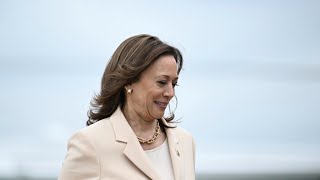 Kamala Harris’ ‘leftleaning’ price gouging plan verging on ‘socialism and communism’ [upl. by Bradan188]