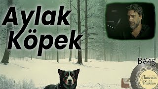 Aylak Köpek 🎙️ Videocast 45 [upl. by Jaynell93]