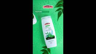 Nourish your scalp  Neem amp Mint Shampoo  Saeed Ghani [upl. by Eselahc]