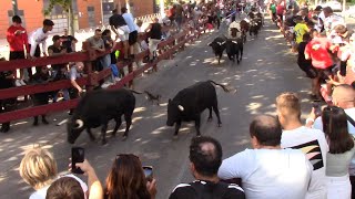 Primer Encierro de las Ferias de Alcalá de Henares 2023 [upl. by Anerres]