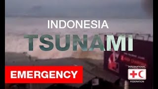 Indonesia  Sulawesi earthquake and tsunami [upl. by Boothe]