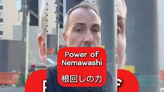 The Power of Nemawashi  Japanese Leadership and Consensus Building [upl. by Lizzy400]