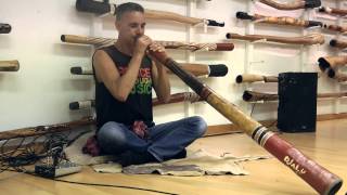 Quinto Antonio Didgeridoo [upl. by Solracsiul]