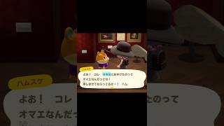 ハムスケが名画から学んだことはにらめっこのコツでした【博物館シリーズpart3】 animalcrossing ハムスケ あつ森 [upl. by Sunil]