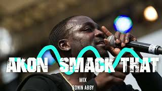 Akon  Smack That ronin abby Remix ft Eminem [upl. by Yhtimit925]