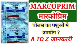 MARCOPRIM Bolus की पूरी जानकारी  marcoprim tablet use in vetfull review in hindi [upl. by Mark]