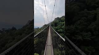 Nyungwe Forest Canopy Walkway [upl. by Aihsilef970]