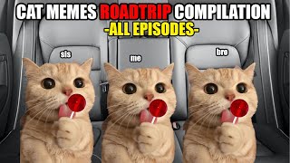 Cat MEMES Roadtrip Compilation Full 1 Hour [upl. by Ahsaelat678]