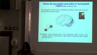 Monika Harvey  ‘Dual Route models of visual processing’ [upl. by Enimsay]