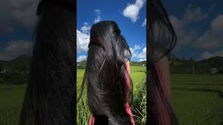 Shampoo hack for long hair ✅haircare ✅haircare longhairgrowth haircaretips ytshorts shortfeed [upl. by Seligman45]