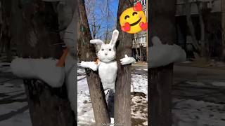 Hombre que Hace un Increíble Conejo de Nieve ☃️🐰 [upl. by Eneleahcim]