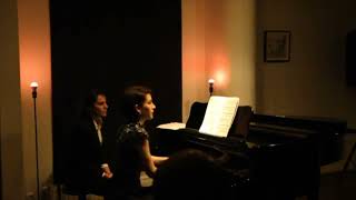 Chaconne in D minor BWV 1004  Bach Busoni Snippets [upl. by Gibbie]