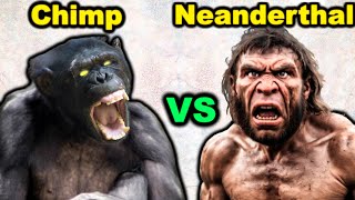 CHIMPANZEE vs NEANDERTHALWho Would Win in a Fight [upl. by Irbmac]