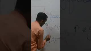 Pathophysiology for Nurses science chemistry class neet nursinglecturewithimtiaz immunesystem [upl. by Arait408]