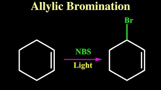 Allylic Bromination Reaction [upl. by Alithea]