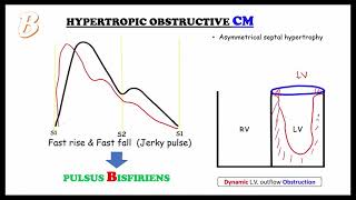 PULSE basics amp ABCD pulse  Internal medicineCardiology focused on FMGENEXT amp NEETPG [upl. by Nehcterg]