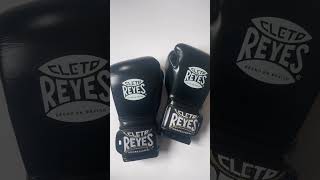 Elevate Your Fight with Cleto Reyes 🥊 [upl. by Genevra]