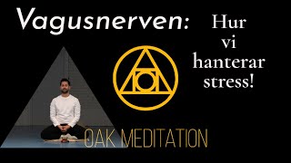 Avsnitt 7 Vagusnerven  Hur vi hanterar stress Meditation och vetenskap  Säsong 1 [upl. by Yorker112]