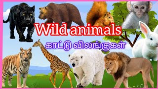 Wild animals name in Englishlearn wild animals name in English with pictures [upl. by Aleinad]