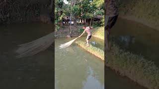 fishing fishing viral fishing at village viral fishing shot  How to catch fish [upl. by Ainotal]