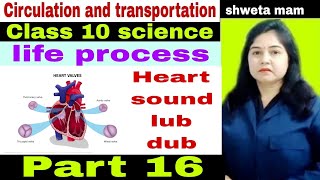 Heart soundlub dubchap 5class 10sciencelife processcirculation n transportation youtubevideo [upl. by Bonucci]