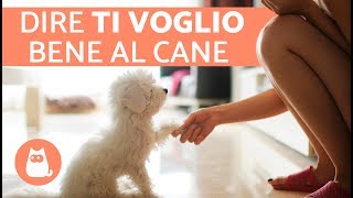 7 MODI per dimostrare al cane che lo ami ❤️🐕 [upl. by Samara179]