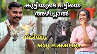 പട്ടി കടിച്ചാൽ ഒരു ലക്ഷം പോകും Dog challenge leash talks [upl. by Annavoj368]