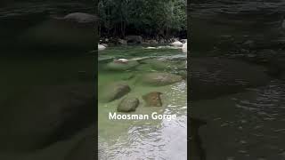 Mossman gorge  preview [upl. by Jeff]